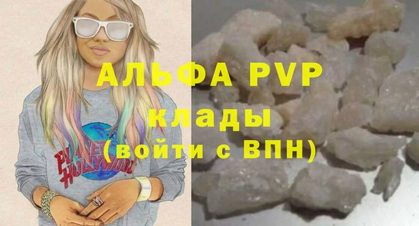 стаф Сатка