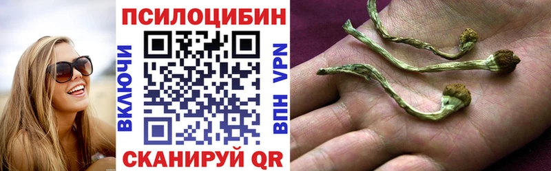 Галлюциногенные грибы мицелий Высоцк